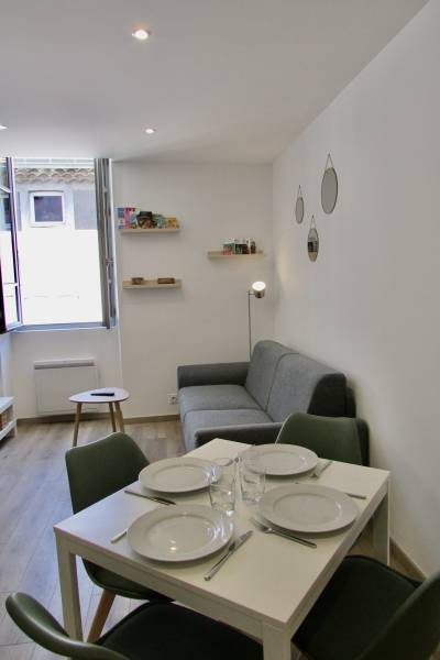 Appartement T2 meublé - rénové haut de gamme - emplacement central à Die (26150)